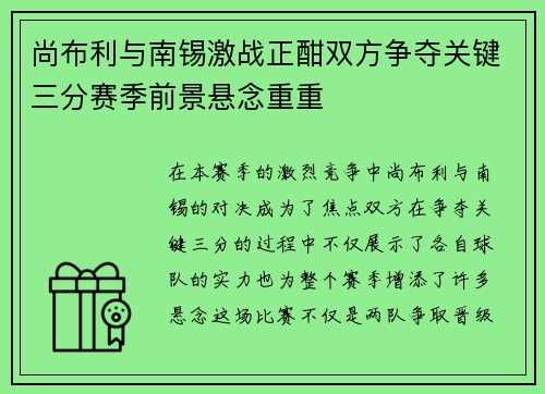 尚布利与南锡激战正酣双方争夺关键三分赛季前景悬念重重