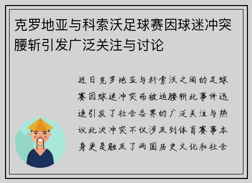 克罗地亚与科索沃足球赛因球迷冲突腰斩引发广泛关注与讨论