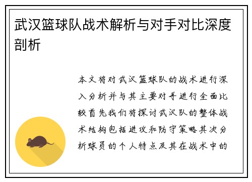 武汉篮球队战术解析与对手对比深度剖析